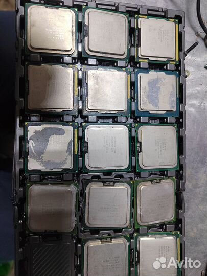 Процессоры