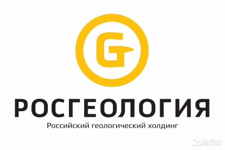 Водитель автомобиля се, Д