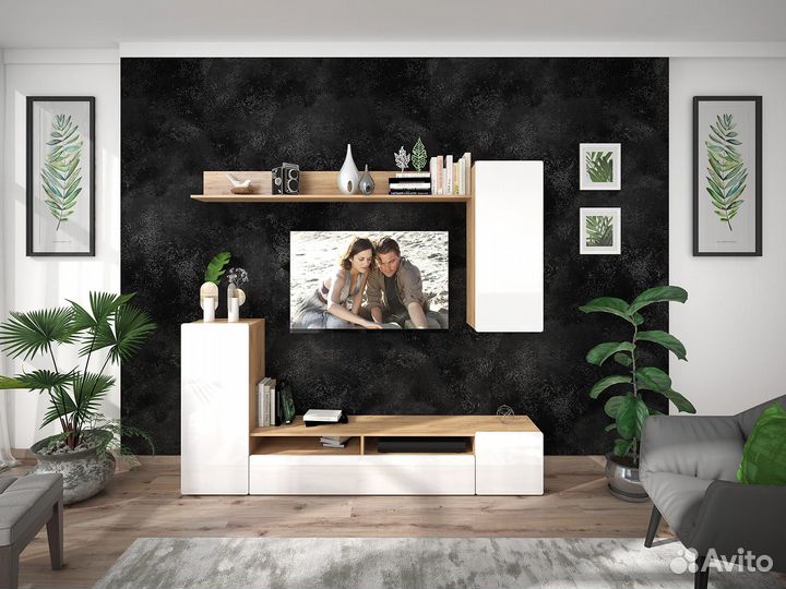 Cтенка Альфа