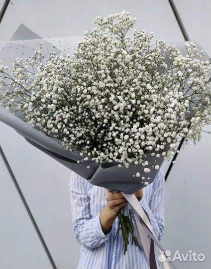 Гипсофила Букеты из гипсофилы 9 15 25 51