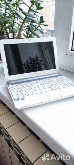 Packard bell нетбук