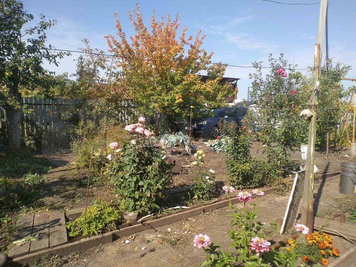 Дача 44 м² на участке 6 сот.