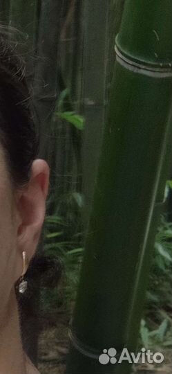 Утеряны серьги просьба Нашедшему вернуть