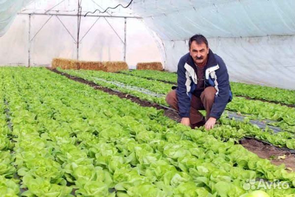 Разнорабочий (вахта)