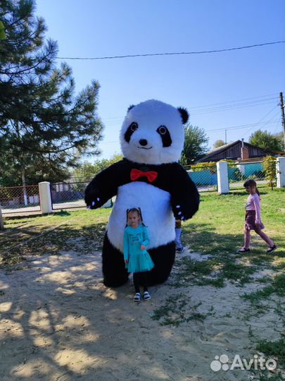 Большой белый медведь из тик тока и другие