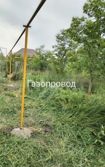 Дом 50 м² на участке 12 сот.