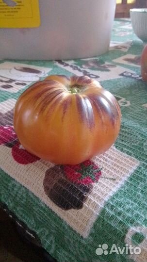 Семена томатов