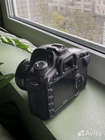 Canon 5d mark ii + 50mm