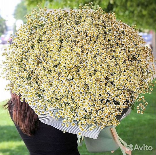 Букеты. Доставка ромашек