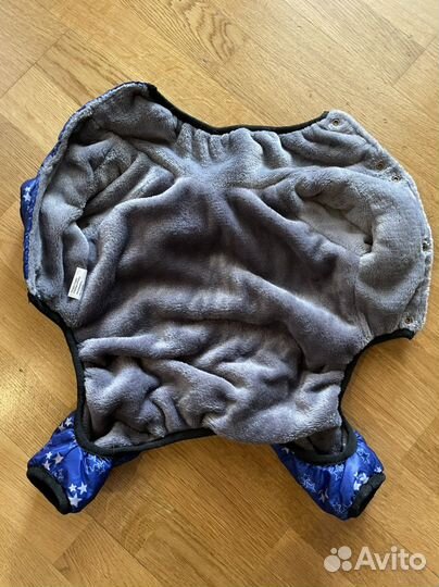 Одежда для маленьких собак