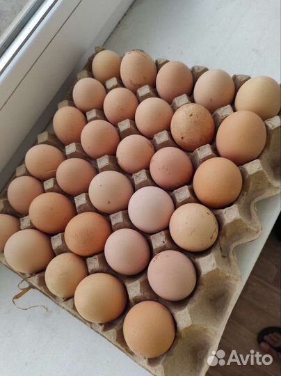 Яйцо куриное деревенское Эко продукция