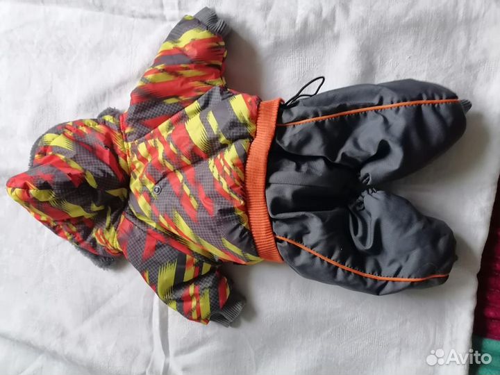 Одежда для собак мелких пород