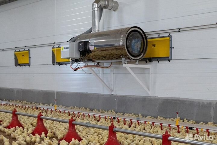 Линии кормления. Корма