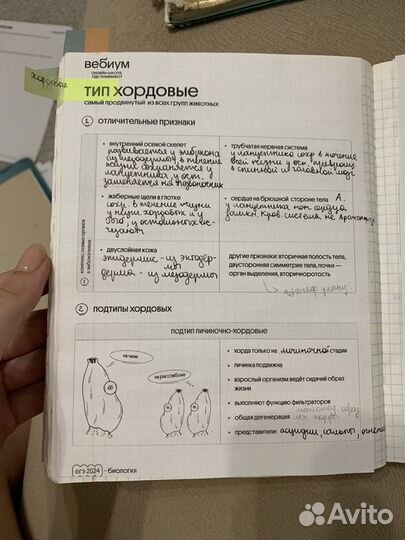 Материалы для подготовки к ЕГЭ по биологии