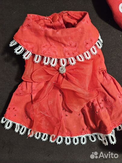 Одежда для маленьких собак