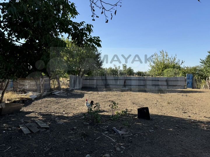 Участок 25 сот. (личное подсобное хозяйство (лпх))