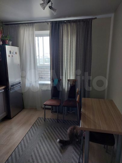 1-к. квартира, 43 м², 13/17 эт.