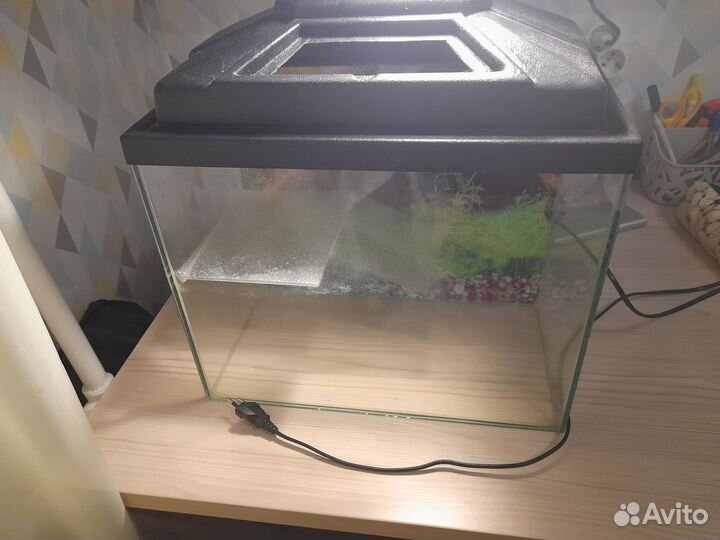 Аквариум