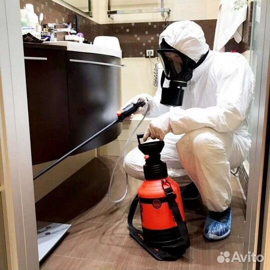 Уничтожение, постельных клопов, клещей, тараканов