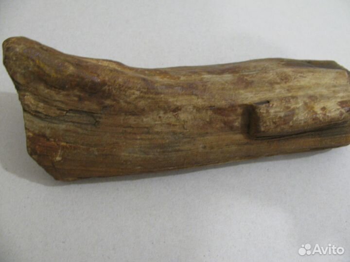 Окаменелое дерево (в коллекцию)