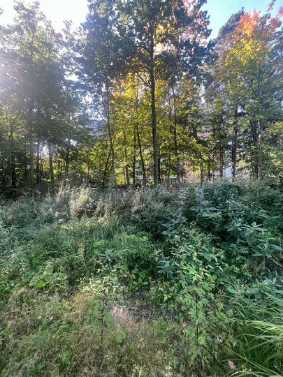 Участок 12 сот. (ИЖС)