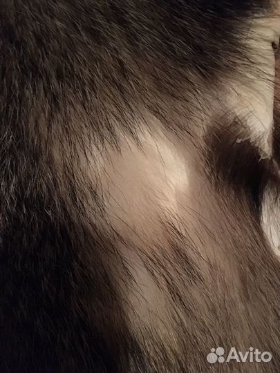 Шкура - коврик