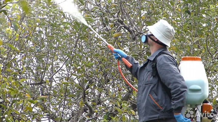 Адъювант Супер Кап Сильвет Голд Атомик Сады Овощи