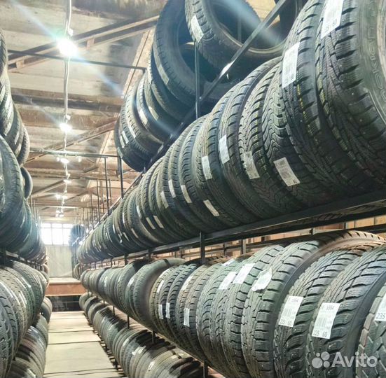 Triangle IceLink Trin PS01 205/55 R16 94M