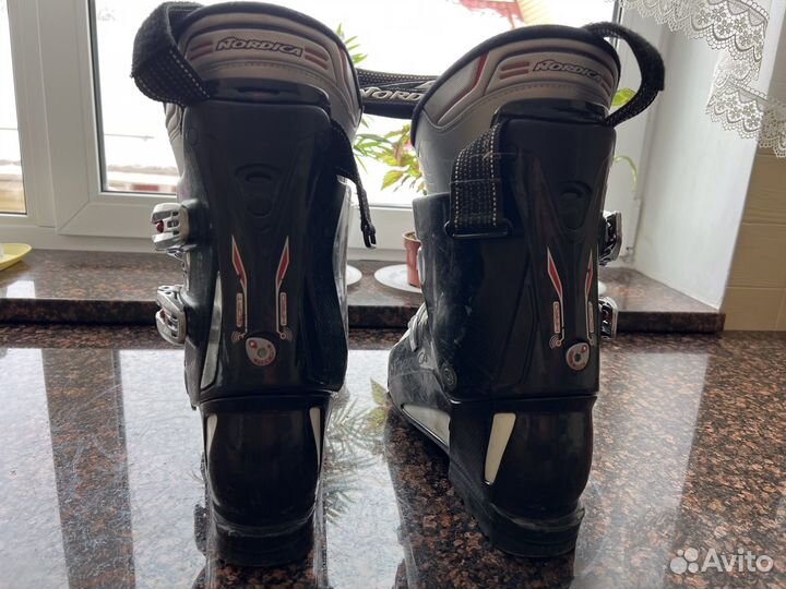 Горные лыжи