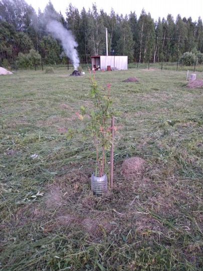 Участок 19 сот. (ИЖС)