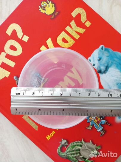 Пластиковый контейнер с крышкой