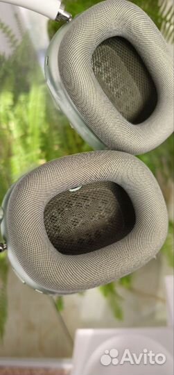 Apple airpods max (green)