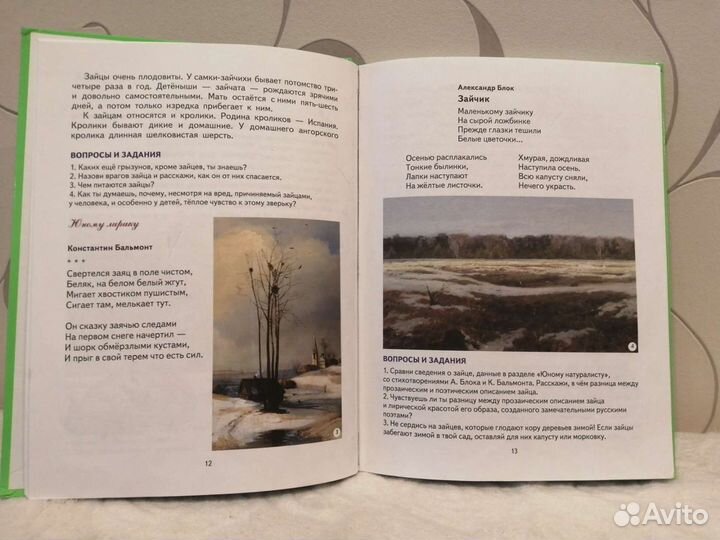 Книга. Н. С. Жукова 