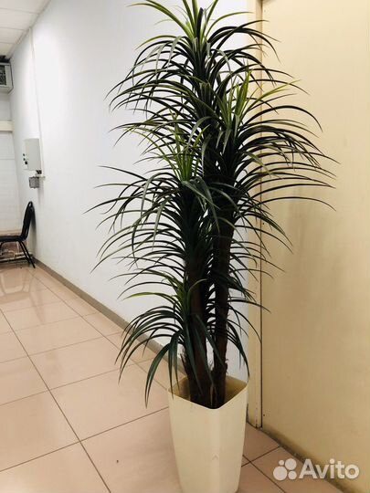 Искусственное дерево