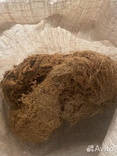 Мох сторительный для бани и дома