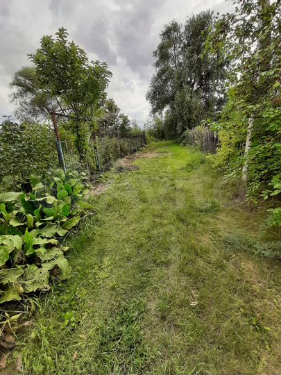 Участок 7 сот. (СНТ, ДНП)