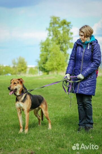 Собака с детства в приюте, спасите