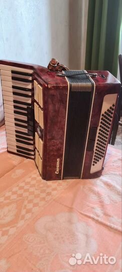 Аккордеон Сюита
