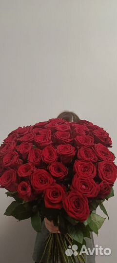101 роза 60 см