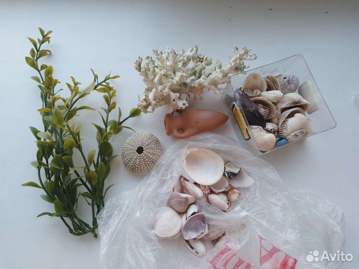 Все для аквариума и другое