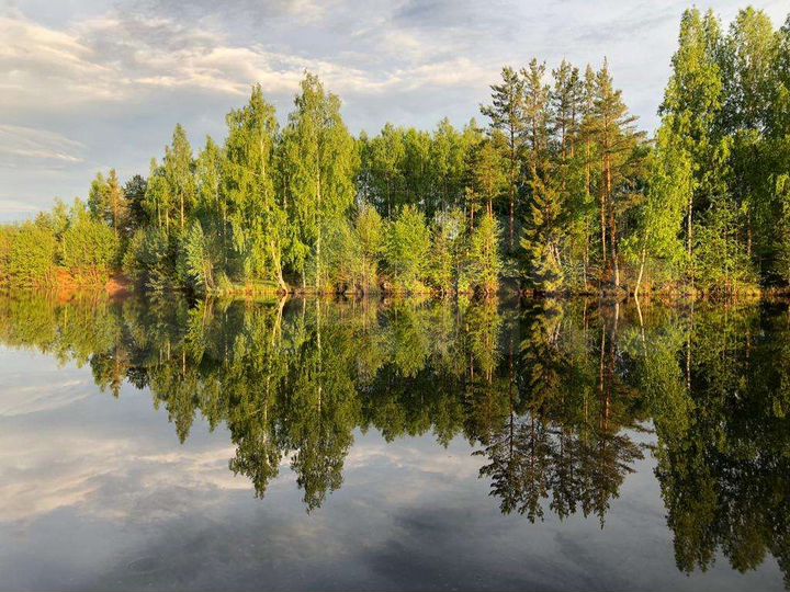 Дом 80 м² на участке 25 сот.