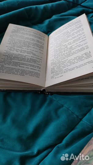 Чёрная свеча, Высоцкий, Мончинский