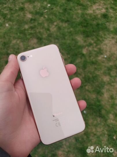 iPhone 8, 64 ГБ