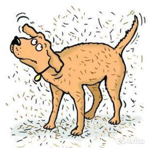 Экспресс линька собак