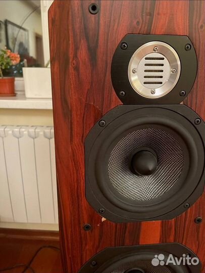 Акустика Legacy audio Classic HD Rosewood