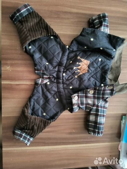 Одежда для собак