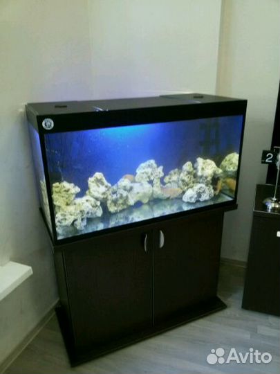 Аквариумы, тумбы, уход за аквариумом