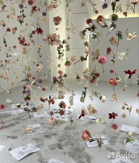 Организация Выездная регистрация оформление