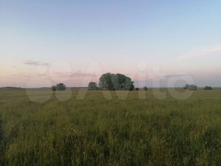 Участок 20 сот. (ИЖС)