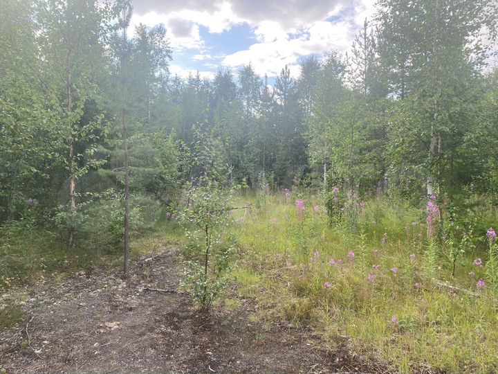 Участок 6,5 сот. (СНТ, ДНП)